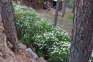 396 S Leisure Rd, Payson, AZ 85541 - Photo 45