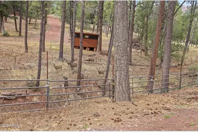 396 S Leisure Road, Payson, AZ 85541 - Photo 49