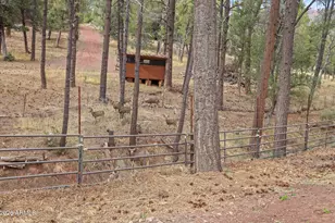 396 S Leisure Rd, Payson, AZ 85541 - Photo 49