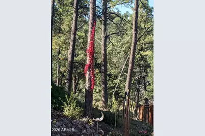 396 S Leisure Road, Payson, AZ 85541 - Photo 51