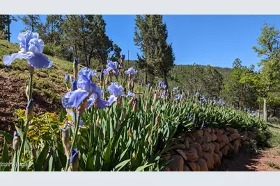 396 S Leisure Road, Payson, AZ 85541 - Photo 47