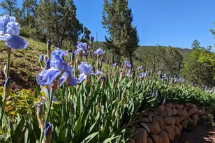 396 S Leisure Rd, Payson, AZ 85541 - Photo 47