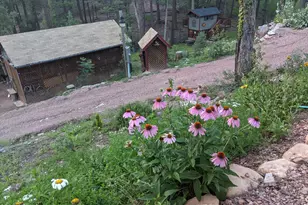 396 S Leisure Rd, Payson, AZ 85541 - Photo 49