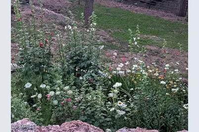 396 S Leisure Road, Payson, AZ 85541 - Photo 43