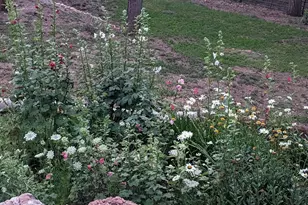 396 S Leisure Rd, Payson, AZ 85541 - Photo 43