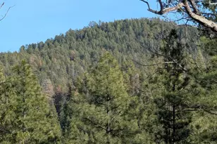 396 S Leisure Rd, Payson, AZ 85541 - Photo 57