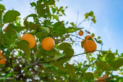 9654 N 18th Street, Phoenix, AZ 85020 - Photo 47