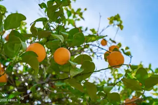 9654 N 18th St, Phoenix, AZ 85020 - Photo 47