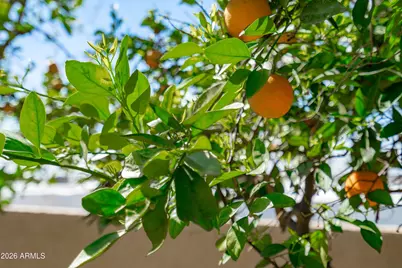 9654 N 18th Street, Phoenix, AZ 85020 - Photo 45