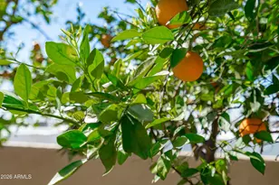 9654 N 18th St, Phoenix, AZ 85020 - Photo 45