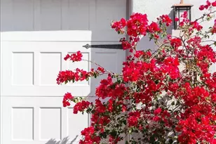 1701 N 16th Ave, Phoenix, AZ 85007 - Photo 61