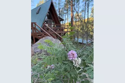 7345 E Crown King Road, Crown King, AZ 86343 - Photo 25