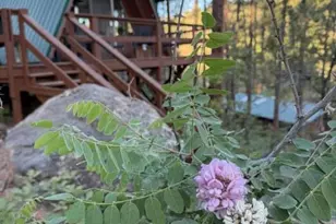 7345 E Crown King Rd, Crown King, AZ 86343 - Photo 25