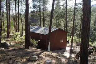 7345 E Crown King Rd, Crown King, AZ 86343 - Photo 3