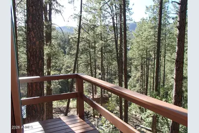 7345 E Crown King Road, Crown King, AZ 86343 - Photo 3
