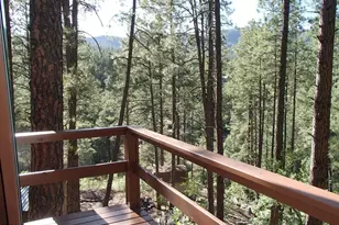 7345 E Crown King Rd, Crown King, AZ 86343 - Photo 3