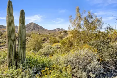 14341 E Mourning Dove Drive #84, Fountain Hills, AZ 85268 - Photo 5