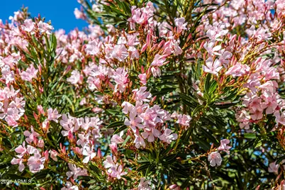6202 E McKellips Road #88, Mesa, AZ 85215 - Photo 35