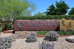 11698 E Wethersfield Rd, Scottsdale, AZ 85259 - Photo 53