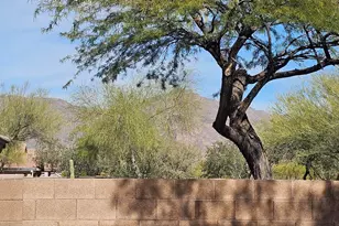 6745 E Las Animas Trail, Gold Canyon, AZ 85118 - Photo 27