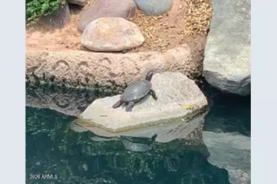 1450 W Key Largo Court, Gilbert, AZ 85233 - Photo 15