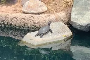 1450 W Key Largo Ct, Gilbert, AZ 85233 - Photo 15