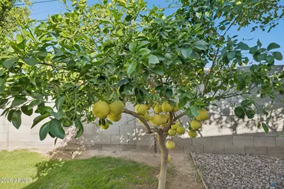 5735 N 11th Street, Phoenix, AZ 85014 - Photo 49