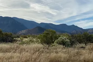 6143 S Calle De La Toronja --, Hereford, AZ 85615 - Photo 1