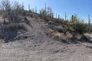 3246 N Silver Tip Trail, Queen Valley, AZ 85118 - Photo 131