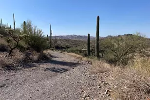 3246 N Silver Tip Trail, Queen Valley, AZ 85118 - Photo 135