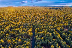 8667 Alchesay Dr, Pinetop, AZ 85935 - Photo 33