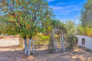 37901 N Tranquil Trail, Carefree, AZ 85377 - Photo 25