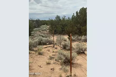 Lot 78 Witch Well Ranches -- #78, Saint Johns, AZ 85936 - Photo 3