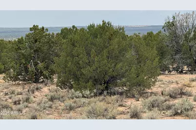 Lot 78 Witch Well Ranches -- #78, Saint Johns, AZ 85936 - Photo 9