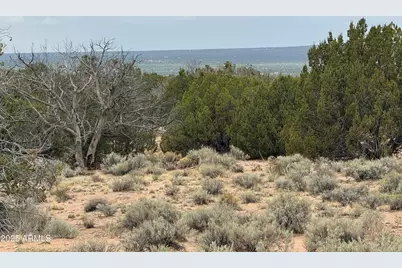 Lot 78 Witch Well Ranches -- #78, Saint Johns, AZ 85936 - Photo 11