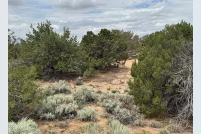 Lot 78 Witch Well Ranches -- #78, Saint Johns, AZ 85936 - Photo 15