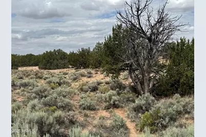Lot 78 Witch Well Ranches -- #78, Saint Johns, AZ 85936 - Photo 13