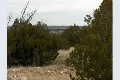 Lot 302 Chevelon Canyon Ranch -- #302, Heber, AZ 85928 - Photo 1