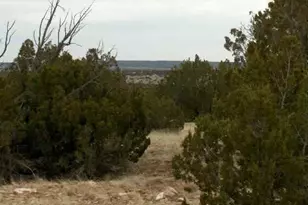 Lot 302 Chevelon Canyon Ranch --, Heber, AZ 85928 - Photo 1