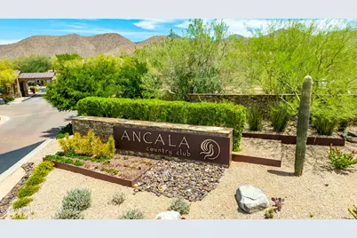 11773 E Desert Trail Road, Scottsdale, AZ 85259 - Photo 9