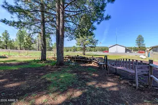 902 Fulton Spgs Dr, Mormon Lake, AZ 86038 - Photo 73