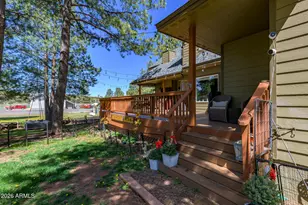 902 Fulton Spgs Dr, Mormon Lake, AZ 86038 - Photo 69