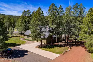 902 Fulton Spgs Dr, Mormon Lake, AZ 86038 - Photo 7