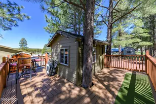902 Fulton Spgs Dr, Mormon Lake, AZ 86038 - Photo 55