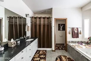 902 Fulton Spgs Dr, Mormon Lake, AZ 86038 - Photo 25