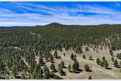 902 Fulton Springs Drive, Mormon Lake, AZ 86038 - Photo 105