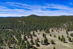 902 Fulton Spgs Dr, Mormon Lake, AZ 86038 - Photo 105