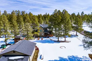 902 Fulton Spgs Dr, Mormon Lake, AZ 86038 - Photo 63