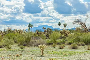 8714 N Dead Mans Gulch Rd, Florence, AZ 85132 - Photo 33