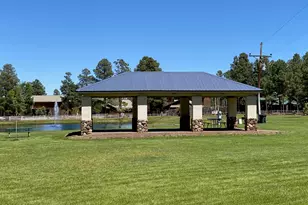 2654 Palomino Trail, Overgaard, AZ 85933 - Photo 41